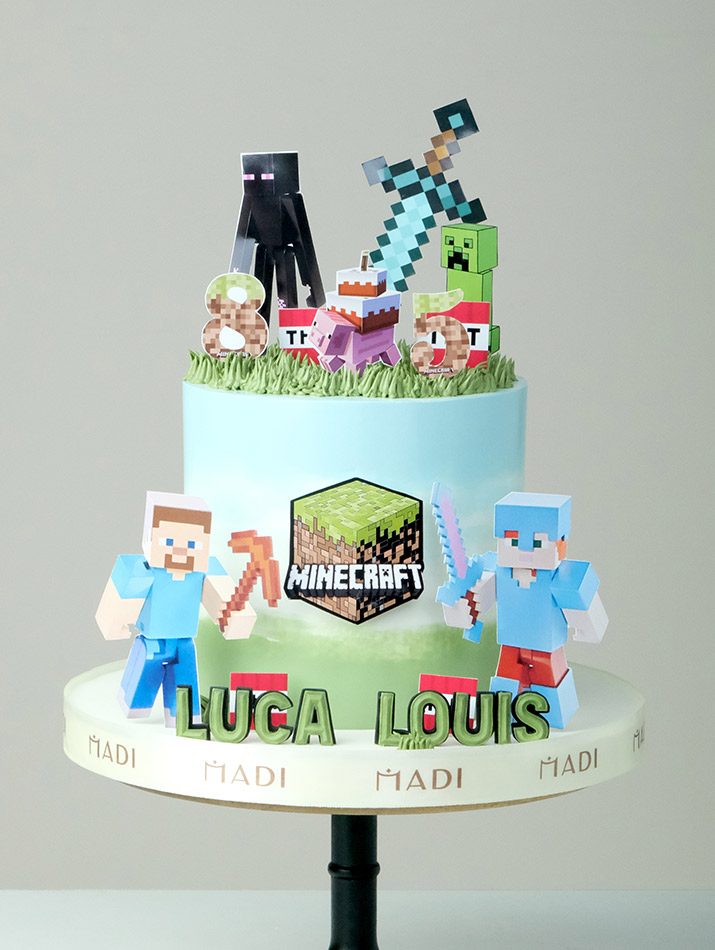 Cartoon Minecraft 03